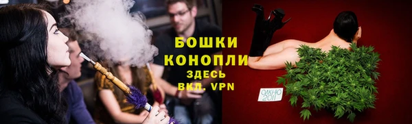 гидра Осинники