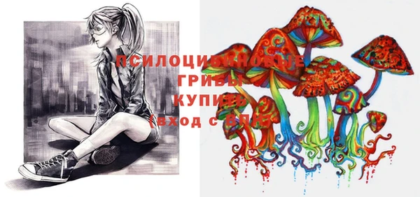 гидра Осинники