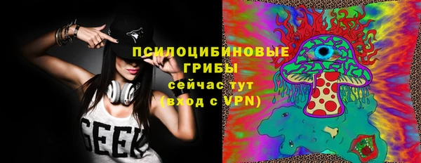 гидра Осинники