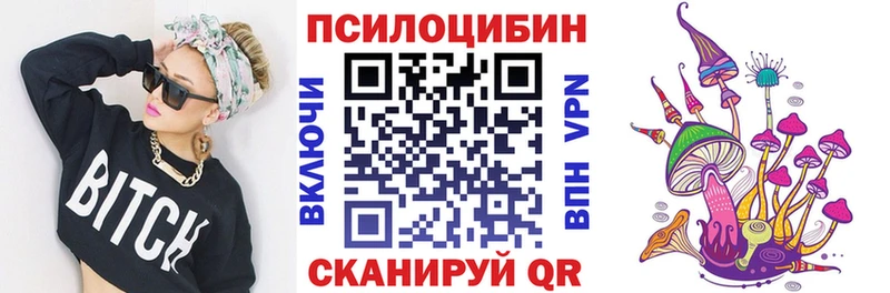 цены наркотик  Тарко-Сале  Псилоцибиновые грибы Psilocybe 